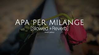 Apa fer milange songslowedreverb new panjabi song viral love apafermilange slowedreverb [upl. by Timrek]