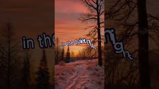 In the quiet of the night  Sonic Bliss englishsongs music bestenglishsongs [upl. by Darach1]