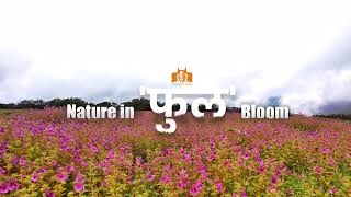 Maharashtra Tourism Live Stream [upl. by Nosduh]