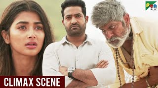 Aravind Sametha  Climax Fight Scene  Jr NTR Pooja Hegde Jagapathi Babu  Hindi Dubbed Movie [upl. by Ranique704]