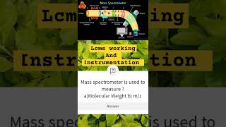 Mass Spectrometry I Principle and Instrumentation I analyticalChemistry lcms massspectrometry [upl. by Gavrila882]