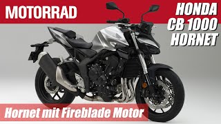 Honda CB 1000 Hornet 2024 Mit FirebladeMotor gegen Z 900 und MT09 [upl. by Latton]