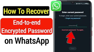 How to Reset WhatsApp Encrypted Password  Recover WhatsApp End to End Encrypted Password 2023 [upl. by Effie]