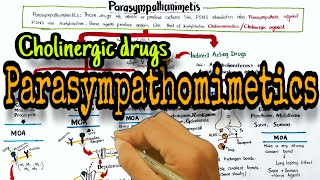 Cholinergic drugs Parasympathomimetics classification and mechanism of action [upl. by Jarad]