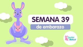 Semana 39 de embarazo [upl. by Bogart]