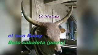 EL TORO BALAYBETO ZABALETA PORRO [upl. by Sida640]