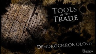 Dendrochronology  UGA Experimental Archaeology [upl. by Nivrag]