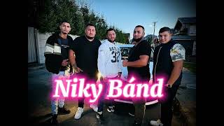 Niky Bánd A o Nikis Voja Disko Cover 💃🎬‼️ [upl. by Lyrac755]