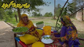 Green Chilli 🌶️ Mix Achar  Village Lifestyle Punjab Pakistan [upl. by Ynetsed341]