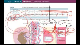 Placenta Amniotic fluid Umbilical Cord Fetal circulation  Reproductive  9  First Aid USMLE [upl. by Niawat822]