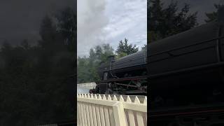 Strathspey Railway steam train [upl. by Turro]