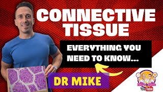 Connective Tissue  Everything you need to know [upl. by Etsyrk987]