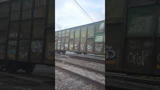 Casx railcar and Burlington nothern railcars at Galveston sub railfan [upl. by Jecoa]