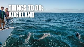 Things to do – Auckland New Zealand [upl. by Ainessej]