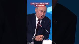 Putin redet über Gerhard Schröder und die Politik in Deutschland shorts [upl. by Otter32]