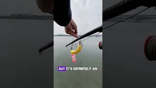 Catching Style of Fish fishingtips [upl. by Azenav]