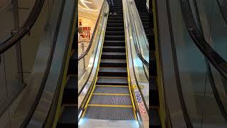 dubai habibi travel trendingDubai mall lift elevator 升降機 lift [upl. by Onitram]