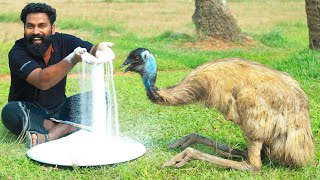 50Kg Emu Salt Fry  50kg എമു ഉപ്പിലിട്ടു ചുട്ടെടുത്തു  M4 TECH [upl. by Elenahc]