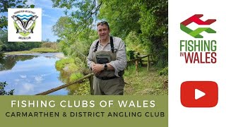 Fishing Clubs of Wales Carmarthen amp District Angling Club  River Towy and Tributaries [upl. by Cirderf573]