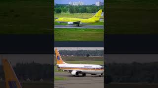 TUIfly 50 Jahre Jubiläum Boeing 737 Max 8 DAMAH Collage [upl. by Auqined]