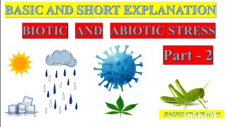 Abiotic Stress in Plants  How Environmental Factors Impact Growth and Survival  Devendra yadav [upl. by Nohsal]