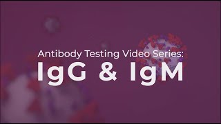 Antibody Testing IgG and IgM explained [upl. by Las]