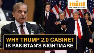 Why Donald Trumps Cabinet Picks Are Making Pakistan Jittery  Pro India Anti Pak Move Explained [upl. by Frazier]