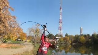 Sportex Новинка 2019 Ураган Advancer Carp 13ft 375lb [upl. by Stichter]