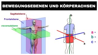 Körperachsen und Bewegungsebenen Erklärvideo [upl. by Elsilrac]