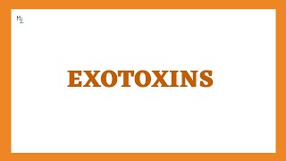 EXOTOXINS  TypeI TypeII and TypeIII Exotoxins  Mechanism of Exotoxins with Examples [upl. by Ivor190]