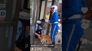 都知事選掲示板ジャック下北沢 貼り終えて目の前の交番にご挨拶🐕 [upl. by Ellan310]