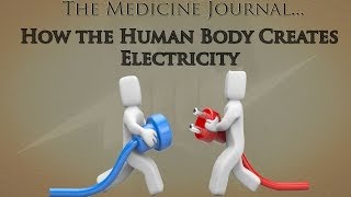 How the Human Body Creates Electricity [upl. by Gnes]