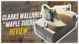 CLARKS WALLABEE MAPLE SUEDE LOW REVIEW [upl. by Tapes]