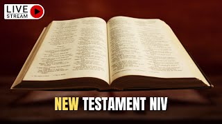 The Holy Bible  Complete NEW TESTAMENT Audio Bible NIV Dramatized [upl. by Philomena453]