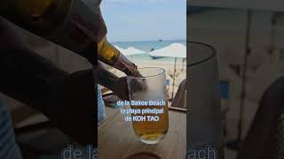 🍺 Cuando un colega abre un Beach Club en la isla de KOH TAO tailandia [upl. by Sanjay]