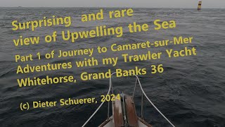 S1E03  Surprising and rare view of Upwellings in the Sea [upl. by Oira]