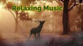 Thenpandi Cheemayile Tamil song  Flute Cover  ilayaraja tamil hits  Relaxing music [upl. by Anilam]