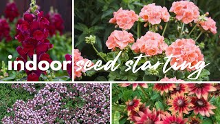 Sowing Flower Seeds Indoors Geraniums Snapdragons Rudbeckia amp more [upl. by Ikaz]