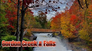 Gordon Creek and Falls [upl. by Ahsart503]