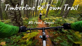 Timberline to Town MTB trail Mt Hood Oregon [upl. by Airotkciv575]