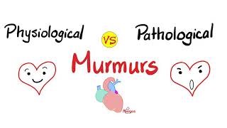 Physiological Murmurs vs Pathological Murmurs  Comparisons [upl. by Felicle106]