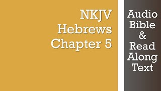 Hebrews 5  NKJV  Audio Bible amp Text [upl. by Yve]