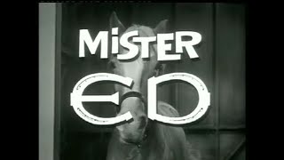 Intro Mister Ed TV Show 1961 [upl. by Serene]