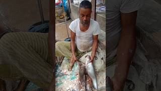 Amazing Boal fish cutting skills 81 🐬😱 shorts [upl. by Notloc]