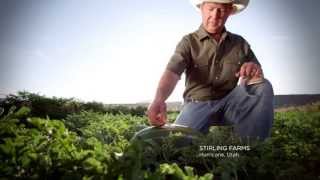 quotWere Localquot Harmons Full Length TV Commercial [upl. by Estes]