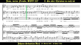 Jesu meine Freude BWV 227 Johann Sebastian Bach Netherlands Chamber Choir Peter Dijkstra [upl. by Aztirak427]