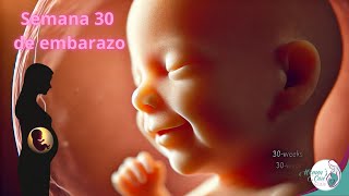 Semana 30 de embarazo ¿Qué ocurre con tu bebe Semanas o meses parte 2 y Falsas contracciones [upl. by Nnairda]