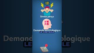 On décrypte  le Stress au travail avec le modèle de Karasek [upl. by Renaxela]