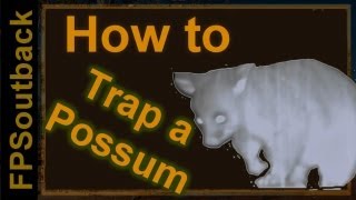 Possum Trapping [upl. by Hector]