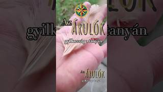 Az Árulók gyilkosság a tanyán farmanimals [upl. by Bekha588]